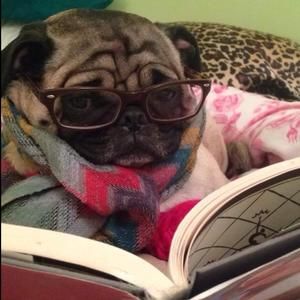 Meet your Posher, Marissa